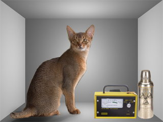 Schrodinger cat